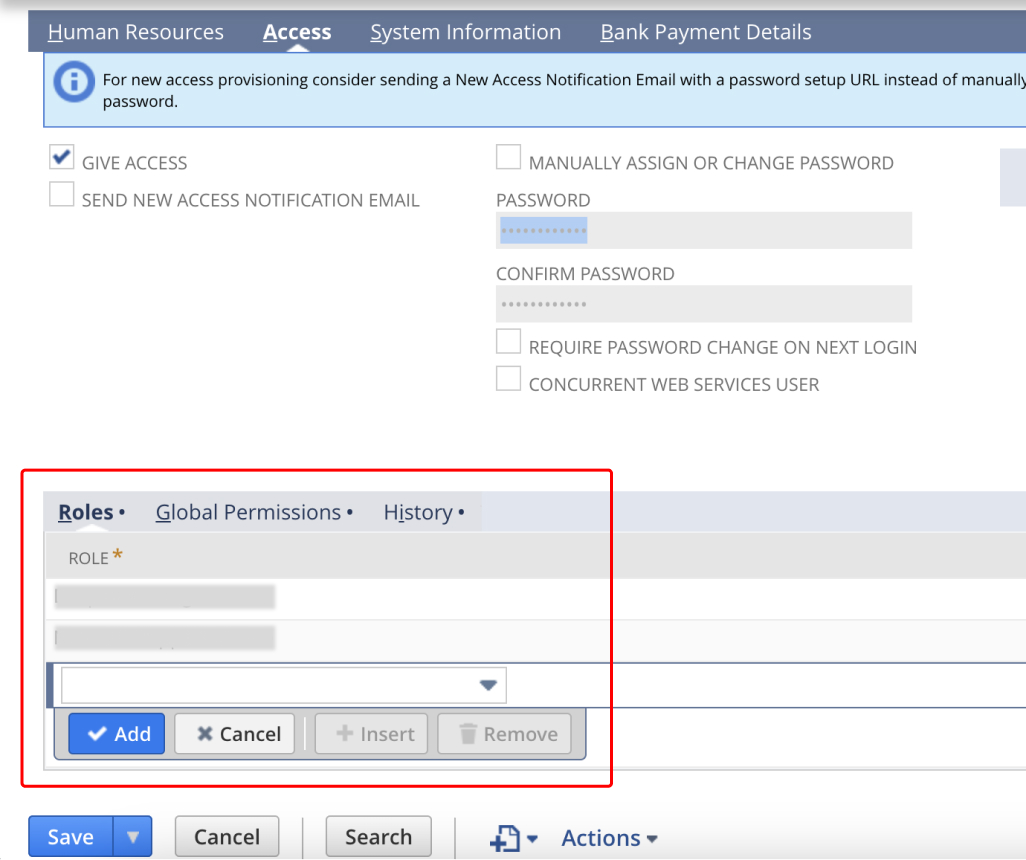 NetSuite Setup User