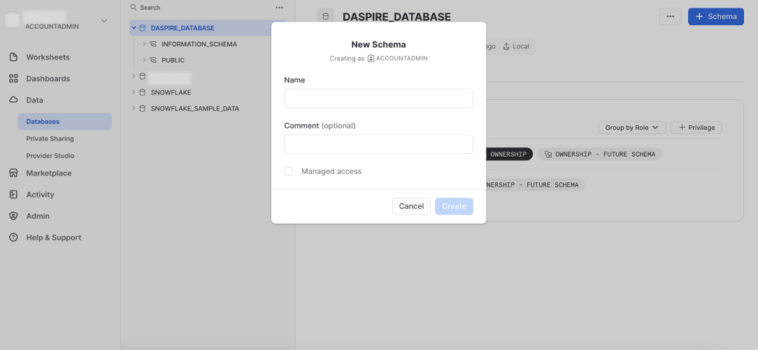 Snowflake Database New Schema