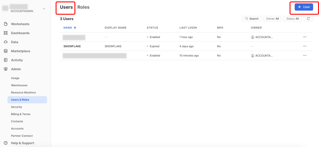 Snowflake Users